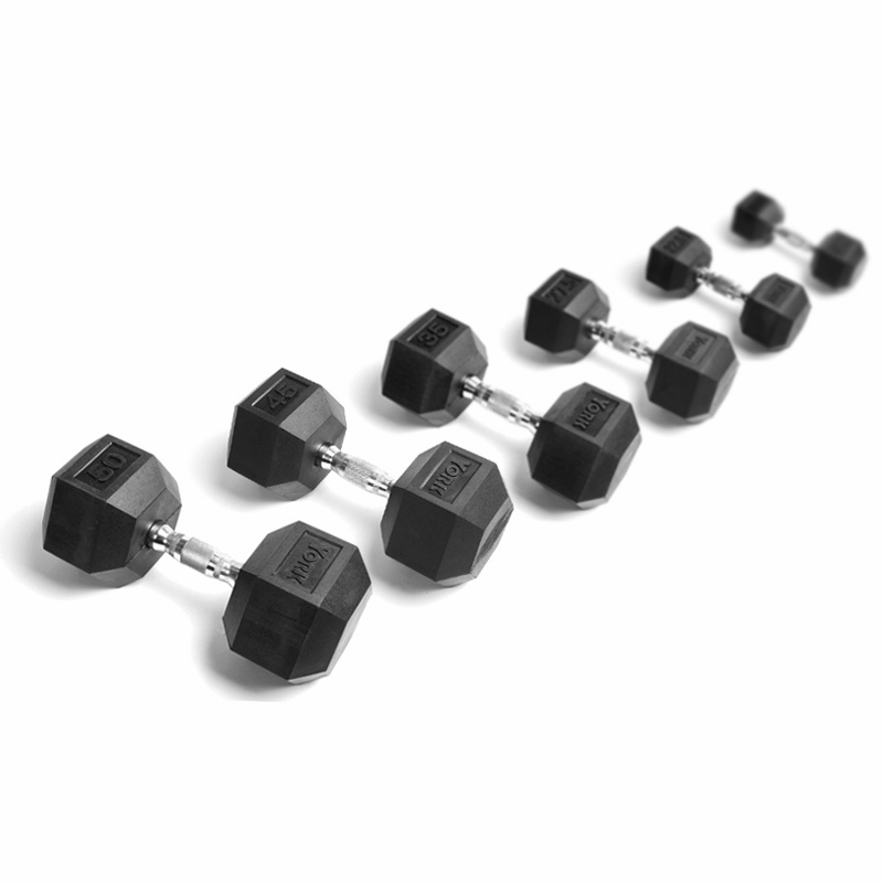 [WE6766] Hex Dumbbell STEEL (4KG)